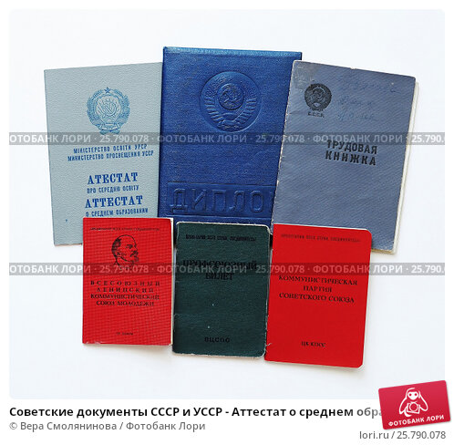 Купить диплом Институт СНГ без предоплаты - Ваш путь к успеху